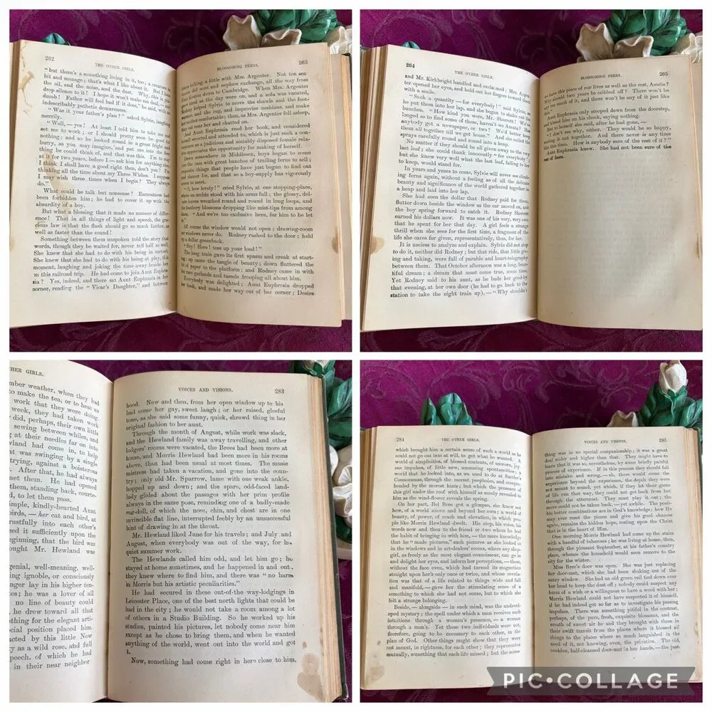 1894 The Other Girls by Mrs. A. D. T. Whitney, Victorian Women’s Antique Fiction